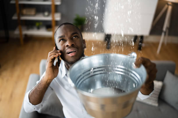 Best Professional water damage repair  in Prairieville, LA