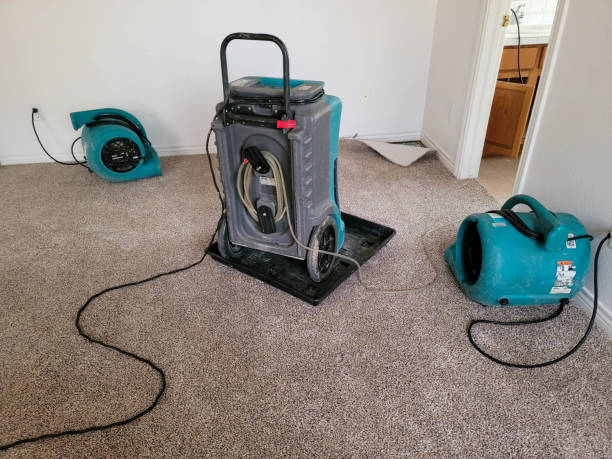 Best 24/7 water damage repair  in Prairieville, LA