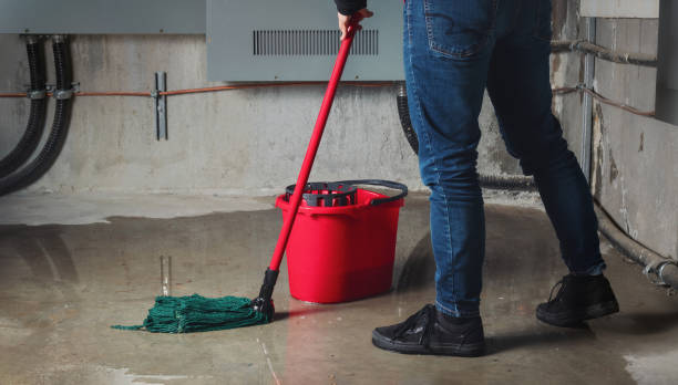 Best Flood restoration services  in Prairieville, LA