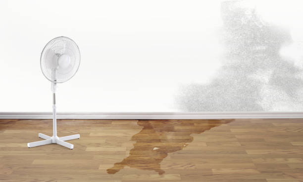  Prairieville, LA Water damage restoration Pros