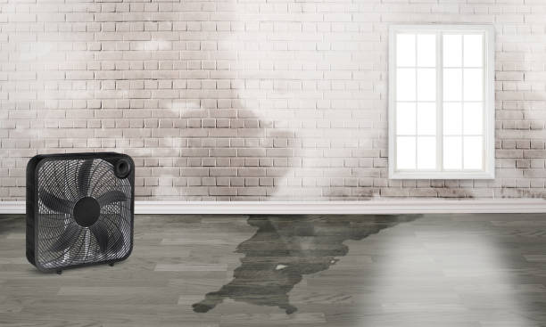 Best Residential water damage restoration  in Prairieville, LA