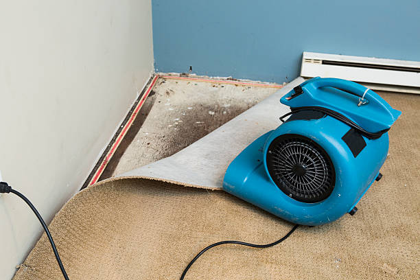 Best Water damage restoration near me  in Prairieville, LA